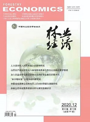 期刊封皮